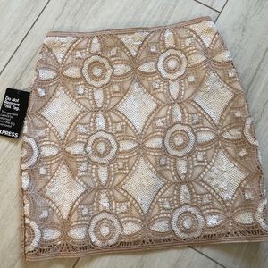 NWT Express Lace Mini Skirt